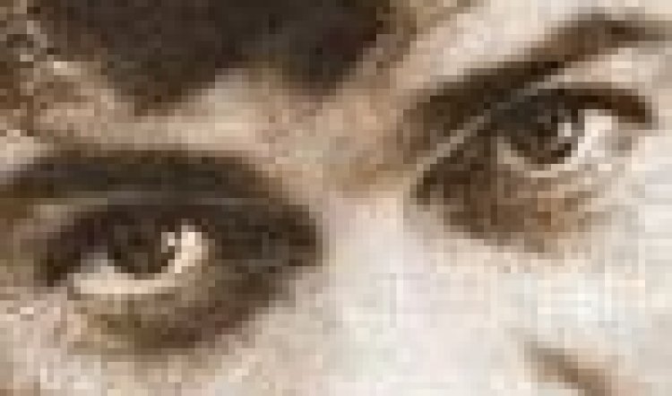 THE BACKSTAGE CAT SEZ